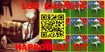кокс Кингисепп