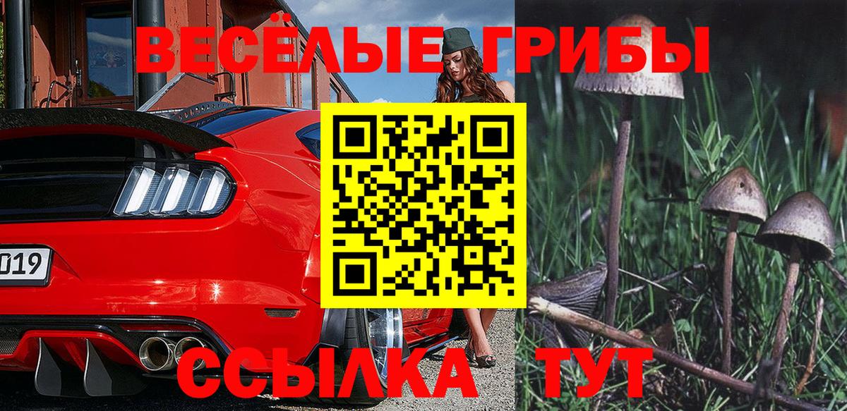 Котельники  Псилоцибиновые грибы прущие грибы  Вход с VPN 