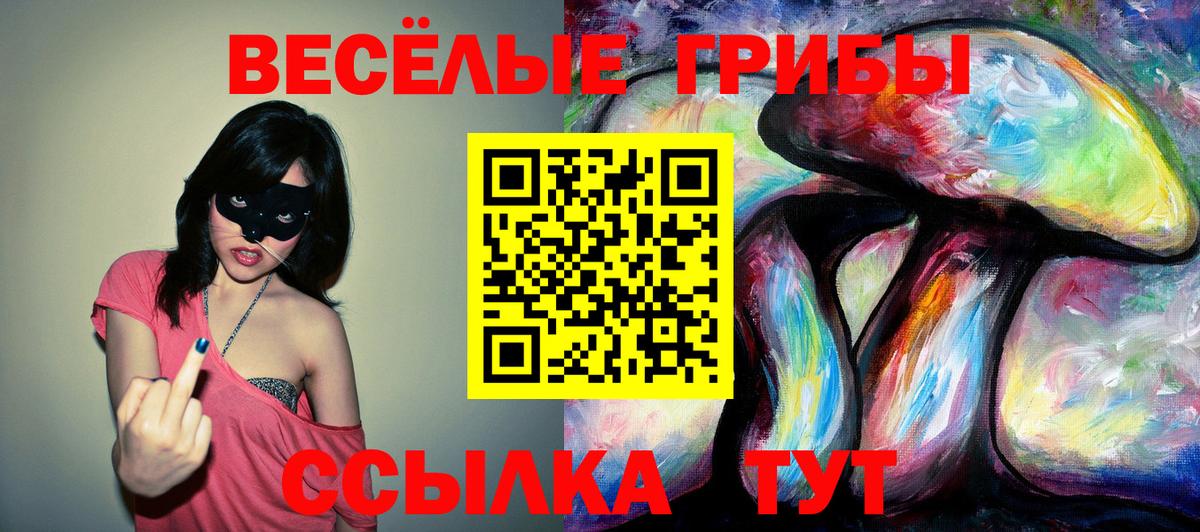 Псилоцибиновые грибы мицелий Котельники